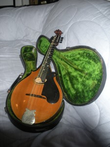 Mandolin